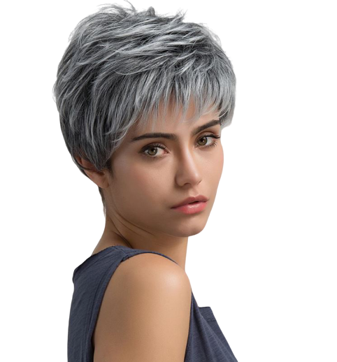 Perruque Cheveux Courts Gris synthétique
