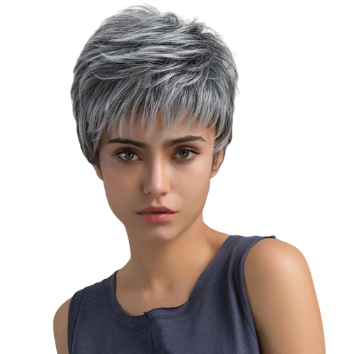 Perruque Cheveux Courts Gris