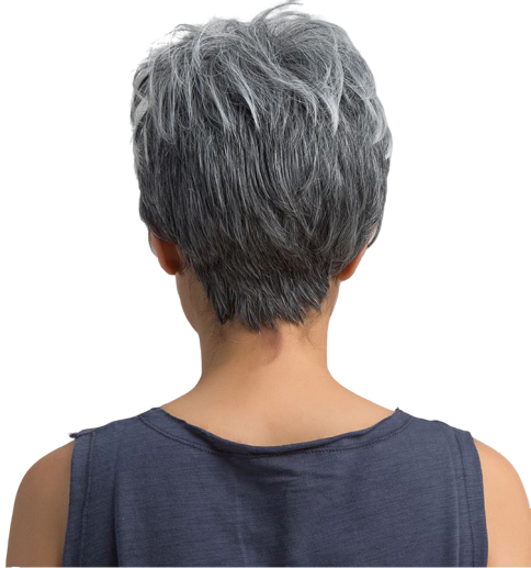 Courte Perruque Cheveux Gris