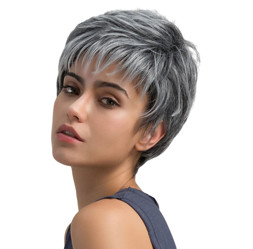 Perruque Cheveux Gris Courts