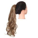 ponytail meche blond miel