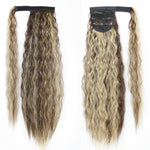 Ponytail blond et marron